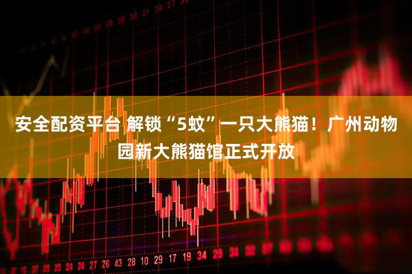 安全配资平台 解锁“5蚊”一只大熊猫！广州动物园新大熊猫馆正式开放