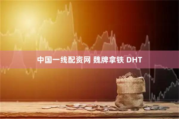 中国一线配资网 魏牌拿铁 DHT