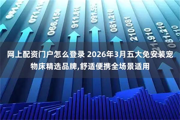 网上配资门户怎么登录 2026年3月五大免安装宠物床精选品牌,舒适便携全场景适用