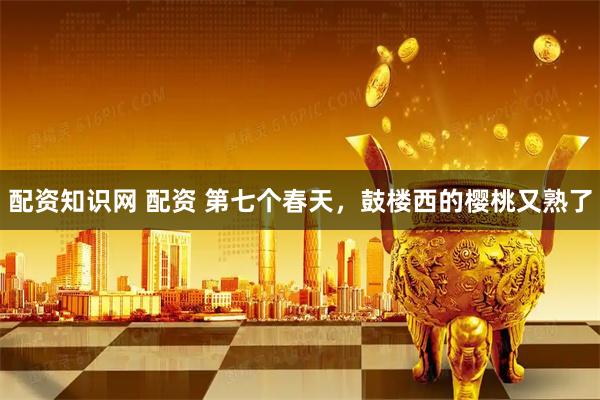 配资知识网 配资 第七个春天，鼓楼西的樱桃又熟了